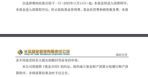 年內175只基金清盤離場 行業加速優勝劣汰，投資者如何應對？